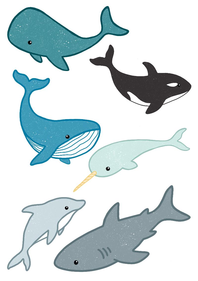 Whales stickers Claudia.jpg